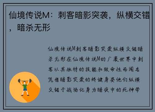 仙境传说M：刺客暗影突袭，纵横交错，暗杀无形
