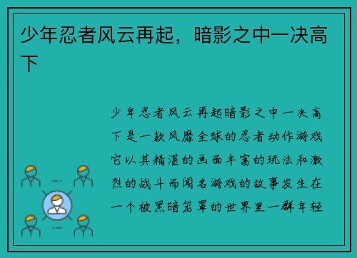 少年忍者风云再起，暗影之中一决高下
