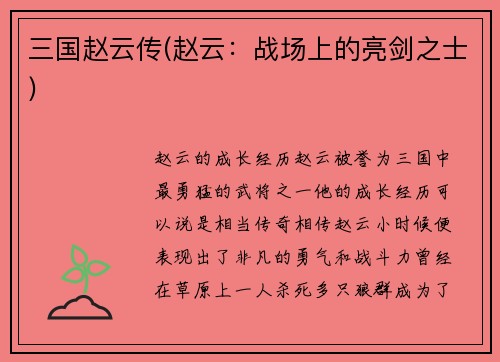 三国赵云传(赵云：战场上的亮剑之士)