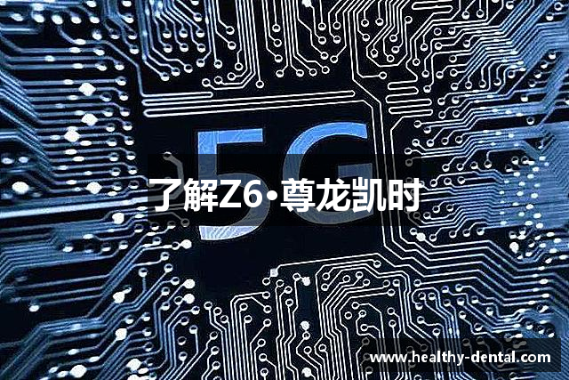 了解Z6·尊龙凯时